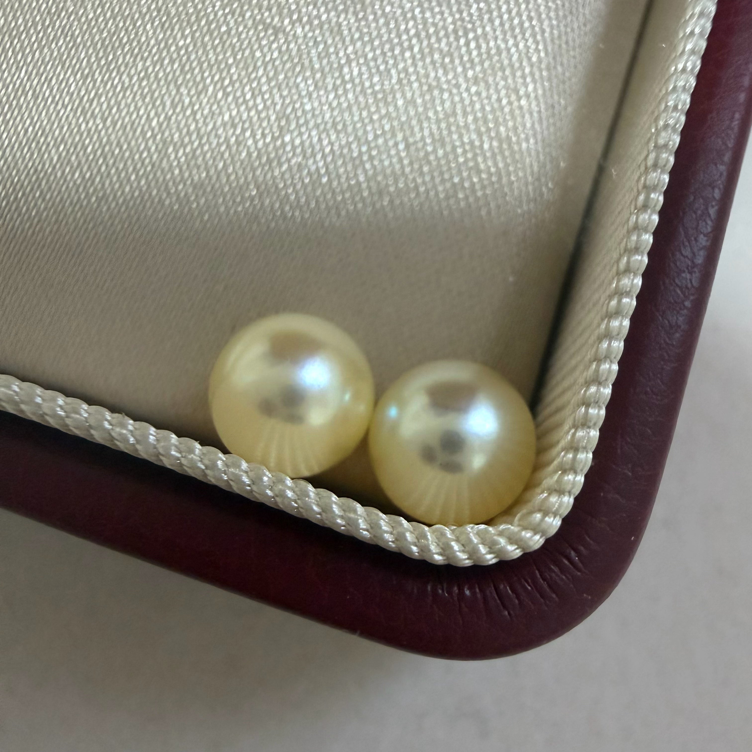 7-7.5mm 日本海水真多麻珍珠耳環  Japanese Feather Emperor Gold Akoya Pearl Earrings